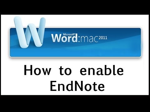 where are endnotes located in microsoft word for mac 2011